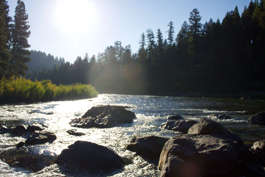 La lumière du soleil se reflétant sur l’eau d’une rivière entre les arbres